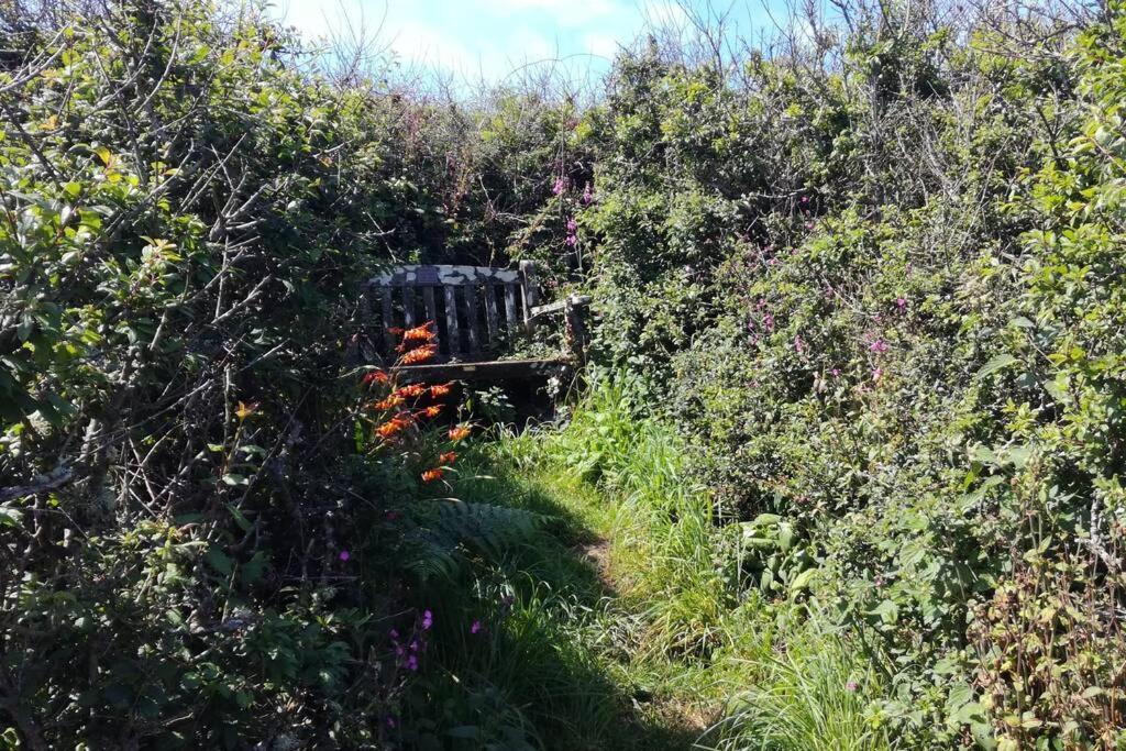 Farm Accommodation - The Lizard Peninsula, Cornwall Helston Exterior foto